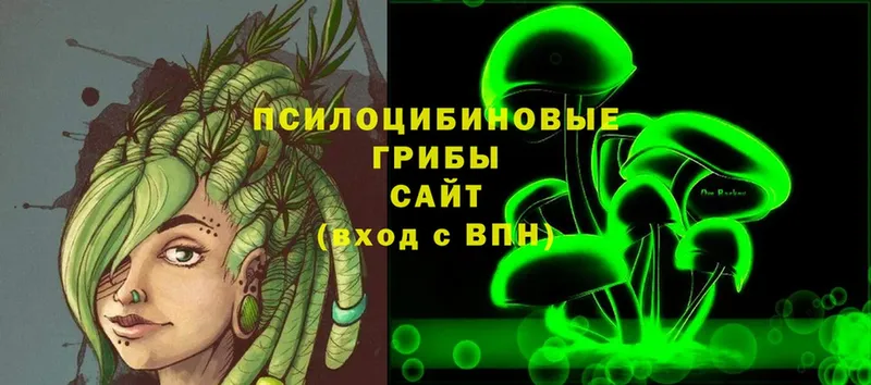 Галлюциногенные грибы Cubensis  Ржев 